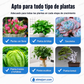 【Incluso los árboles secos pueden brotar】 Fertilizante de levadura de floración de acción rápida, regenerador y soluble en agua