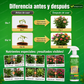 【Incluso los árboles secos pueden brotar】 Fertilizante de levadura de floración de acción rápida, regenerador y soluble en agua