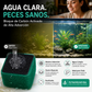 🐟 ¡Aprovecha ahora el 50 % de descuento! Bloques filtrantes de carbón activo alveolar, aptos para acuarios: purificadores de agua y desodorantes reutilizables. Medio filtrante para acuarios.