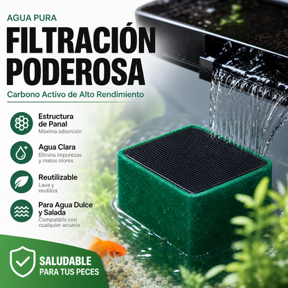 🐟 ¡Aprovecha ahora el 50 % de descuento! Bloques filtrantes de carbón activo alveolar, aptos para acuarios: purificadores de agua y desodorantes reutilizables. Medio filtrante para acuarios.