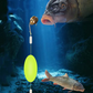 🎣⚡ ¡Aparejo de fondo inverso con doble anzuelo! La versión mejorada aumenta la tasa de conexión en un 50%: ¡dile adiós a los enganches! 🎣