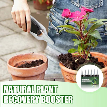 Potenciador Natural de Recuperación para Plantas con Nutrientes Esenciales