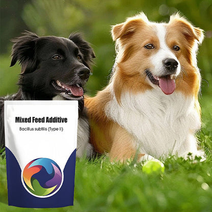 Suplemento Alimenticio con Probióticos y Enzimas