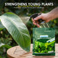 Fertilizante Foliar de Rápido Reverdecimiento