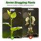 Líquido para el crecimiento de plantas para plántulas y esquejes