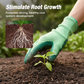 Líquido para el crecimiento de plantas para plántulas y esquejes