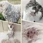 Cepillo de aseo para mascotas de doble cara