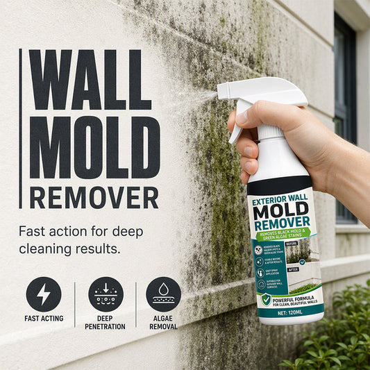 Spray removedor de moho de pared de acción rápida