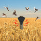 Ahuyentador de pájaros solar impermeable para exteriores