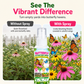 Spray perfumado para atraer mariposas a jardines exteriores
